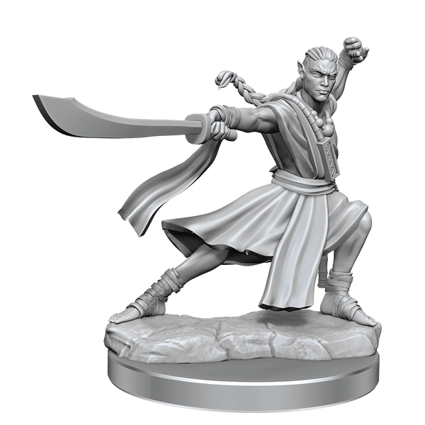 D&D Frameworks Elf Monk Male - Gap Games