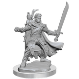 D&D Frameworks Half-Elf Ranger Male - Gap Games