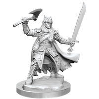 D&D Frameworks Half-Elf Ranger Male - Gap Games