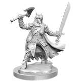 D&D Frameworks Half-Elf Ranger Male - Gap Games