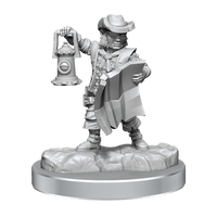 D&D Frameworks Halfling Rogue Male - Gap Games