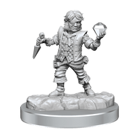 D&D Frameworks Halfling Rogue Male - Gap Games