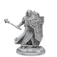 D&D Frameworks Human Cleric Male - Gap Games