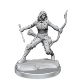 D&D Frameworks Human Rogue Female - Gap Games