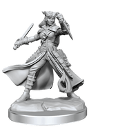 D&D Frameworks Tiefling Rogue Female - Gap Games