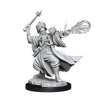 D&D Frameworks Human Wizard Male - Gap Games