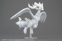 POKEMON MODEL KIT RESHIRAM - Gap Games