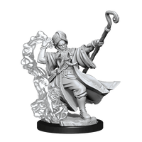 D&D Frameworks Human Wizard Male - Gap Games